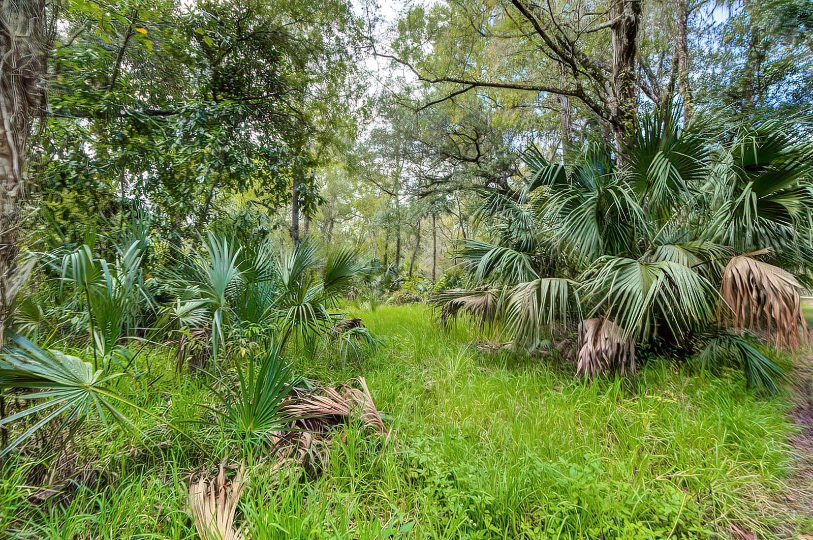 14902 DEAD RIVER RD - Photo 1