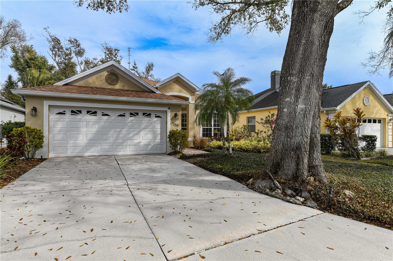 156 TALL TREES CT - Photo 1