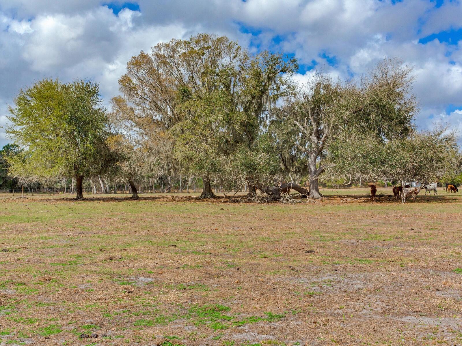 Property at 0 S CR 39, Lithia