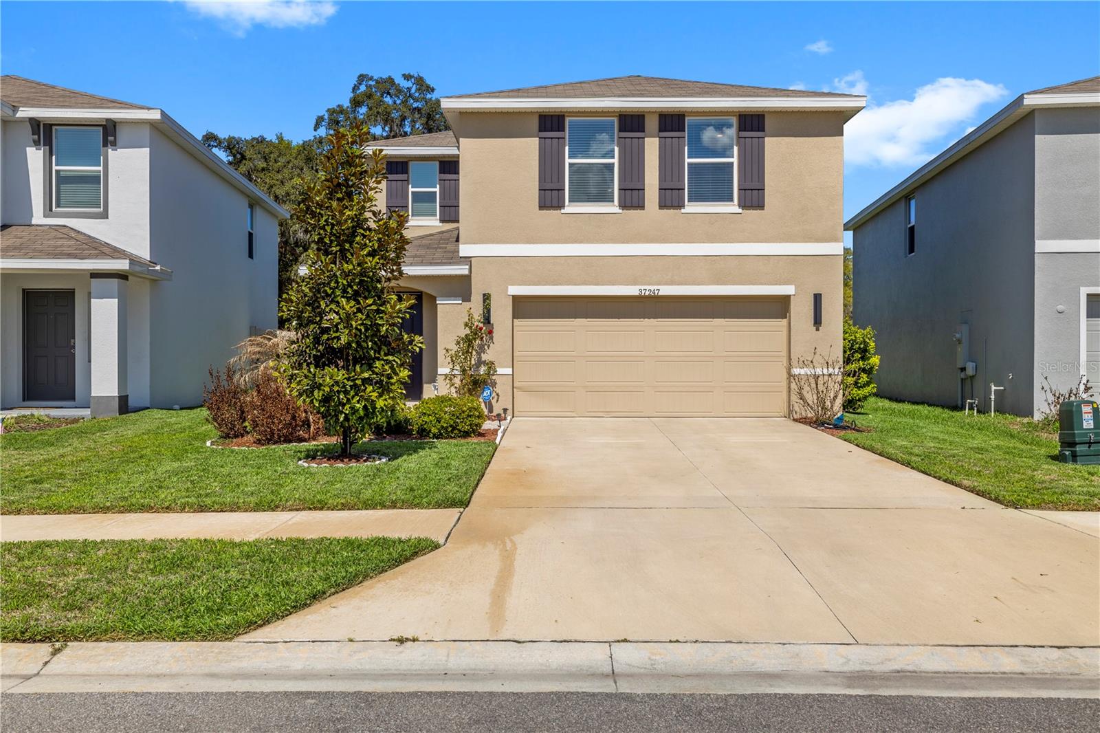 37247 KINGS CROWN DR - Photo 1