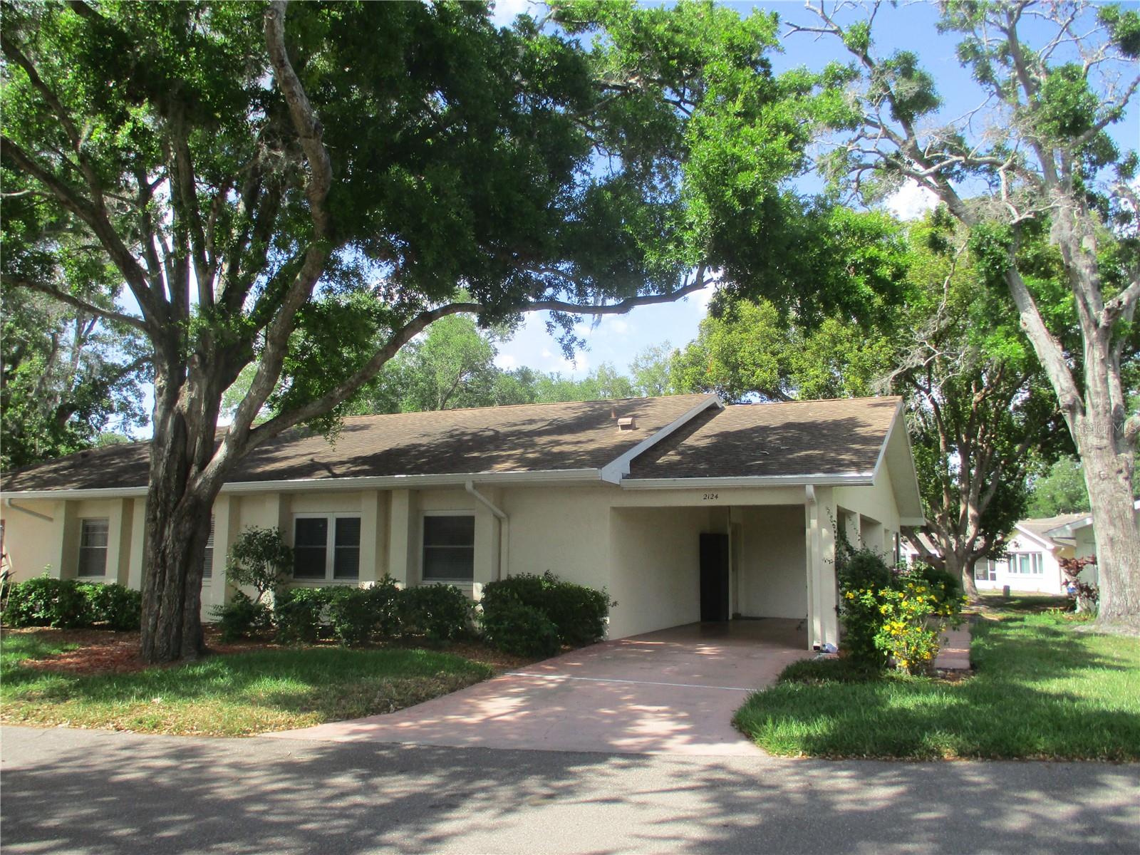 2124 HAILSTONE CIR - Photo 1