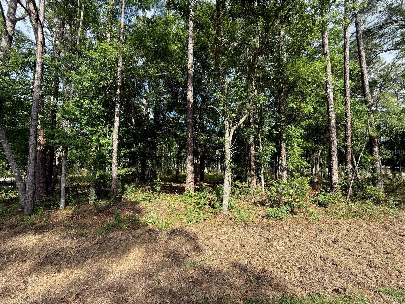 Property at QUAIL HOLLOW BLVD, Wesley Chapel,