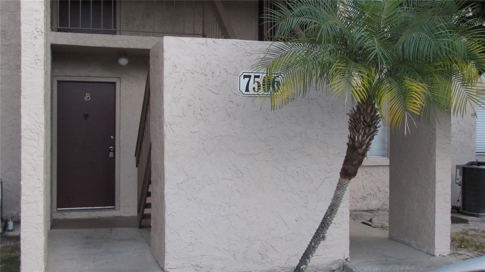 7506 NEEDLE LEAF PL #56 - Photo 1