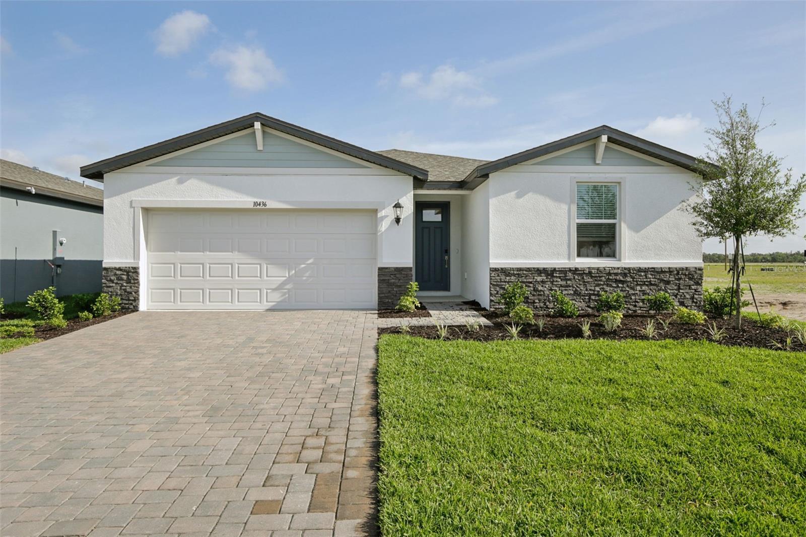 10436 ABUNDANCE GROVE WAY - Photo 1