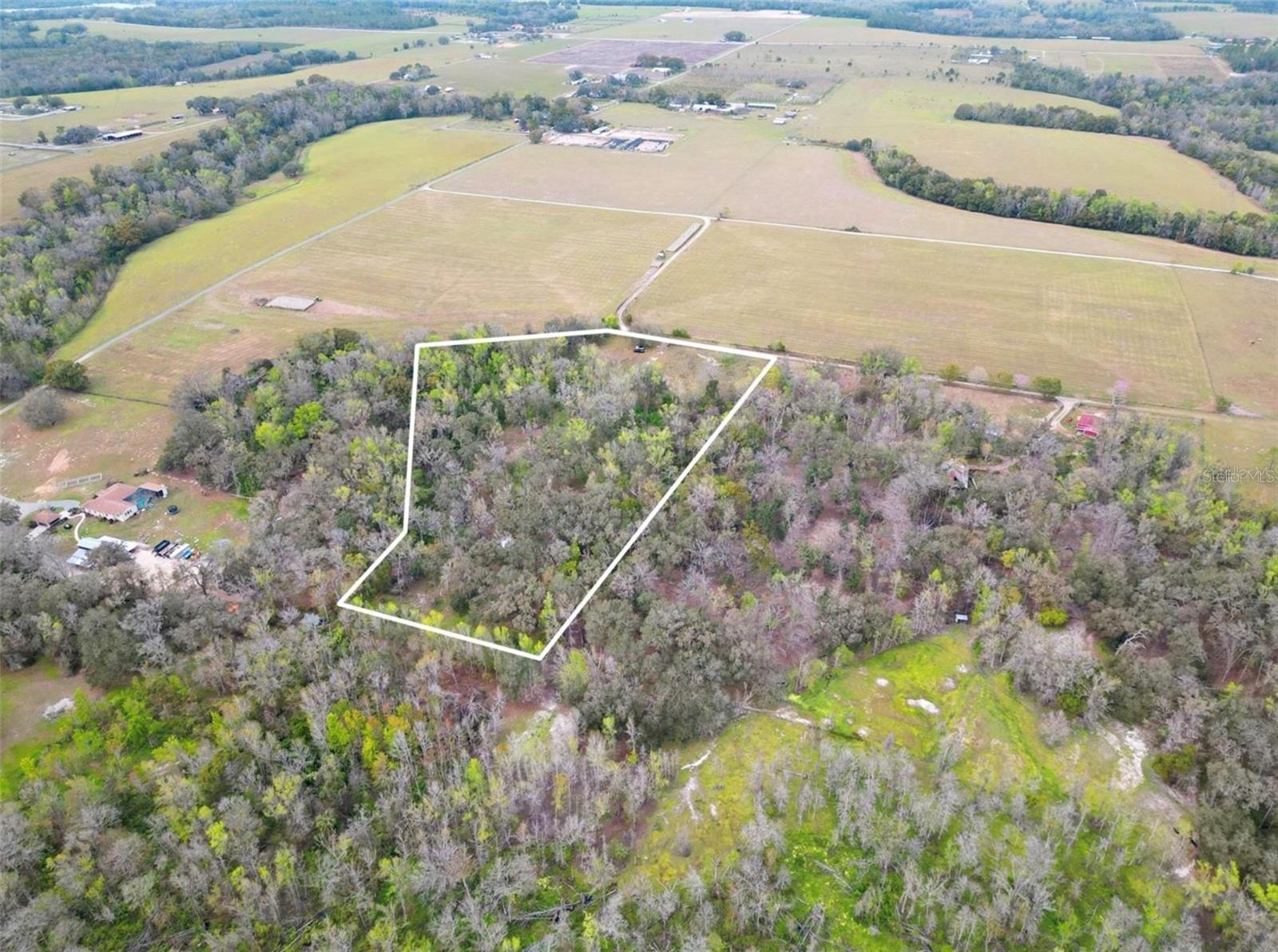 33234 CHIPCO RANCH RD - Photo 1
