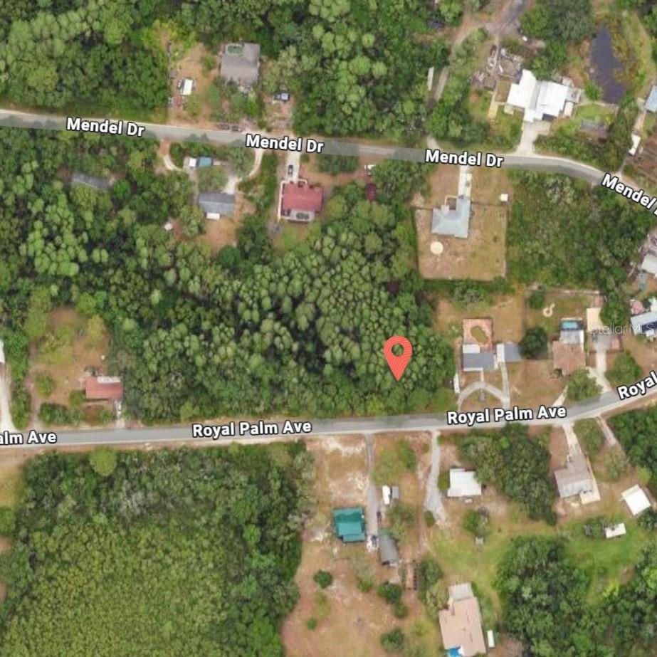 9805 ROYAL PALM AVE - Photo 1