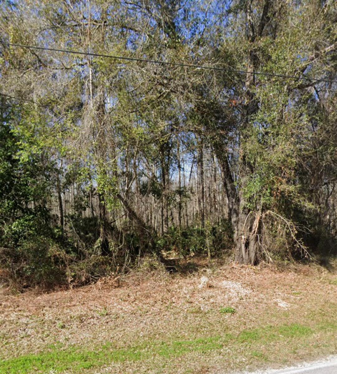 KEY LIME - Photo 1