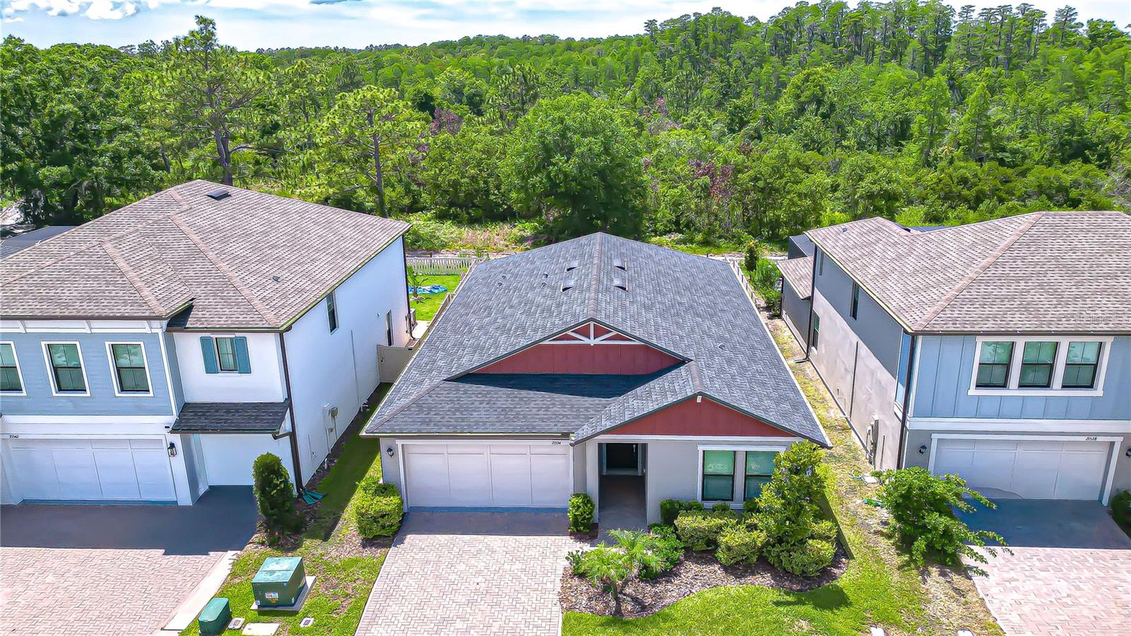 21534 VIOLET PERIWINKLE DR - Photo 1