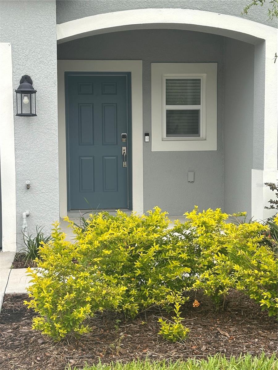 2358 PARAVANE WAY - Photo 1