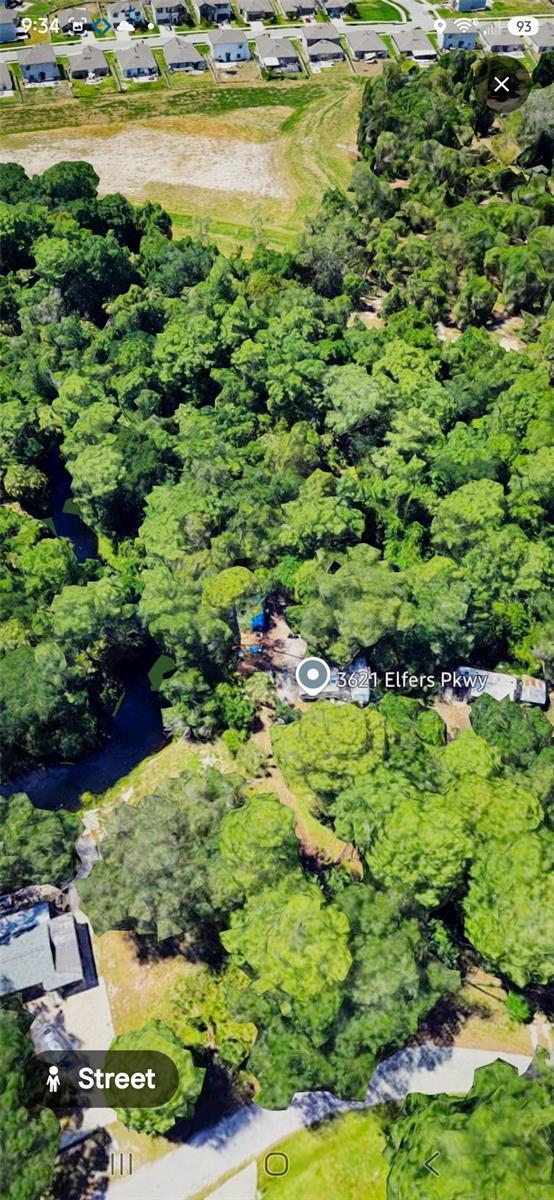 3621 ELFERS PKWY - Photo 1