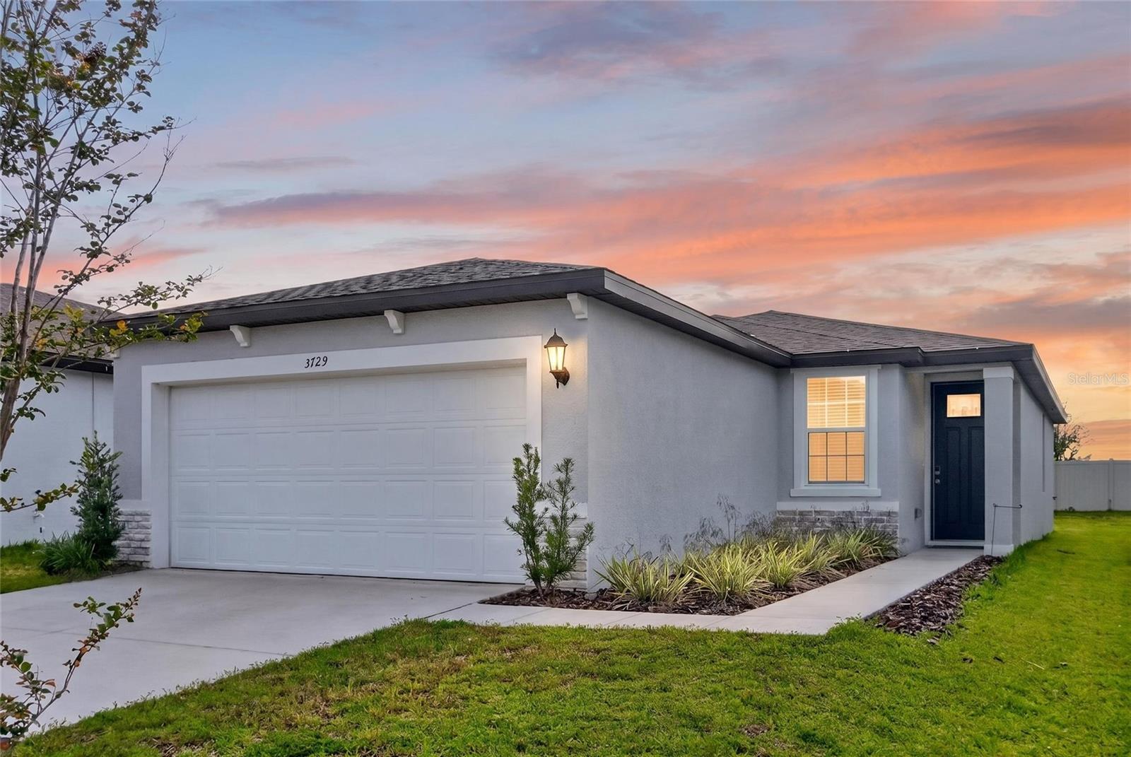 3729 RADIANT MOUNTAIN DR - Photo 1