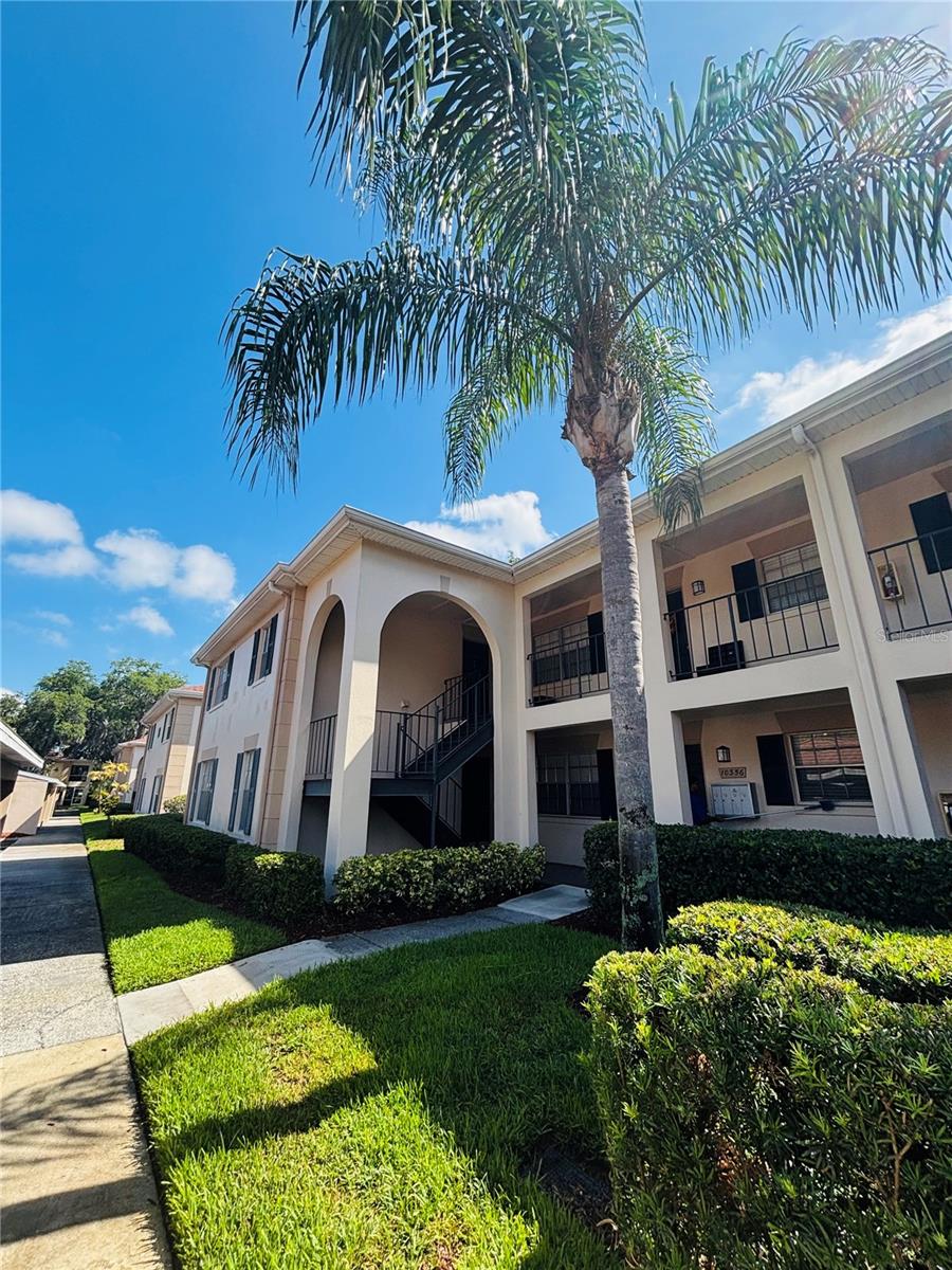 10356 CARROLLWOOD LN #205 - Photo 1