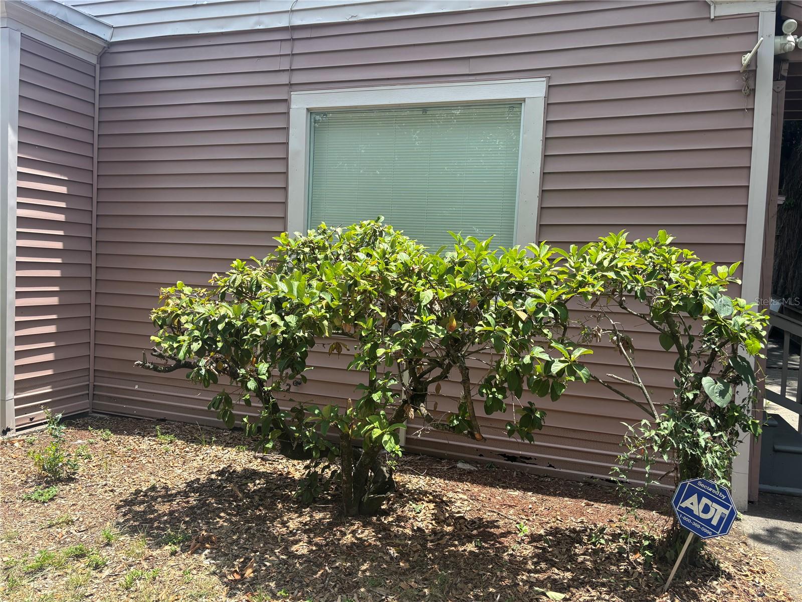 807 E OSBORNE AVE - Photo 1