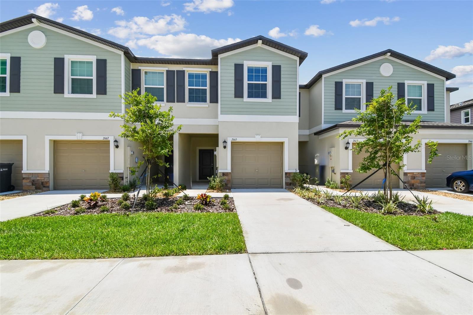 2665 BUTTERCUP LUCINE LN - Photo 1