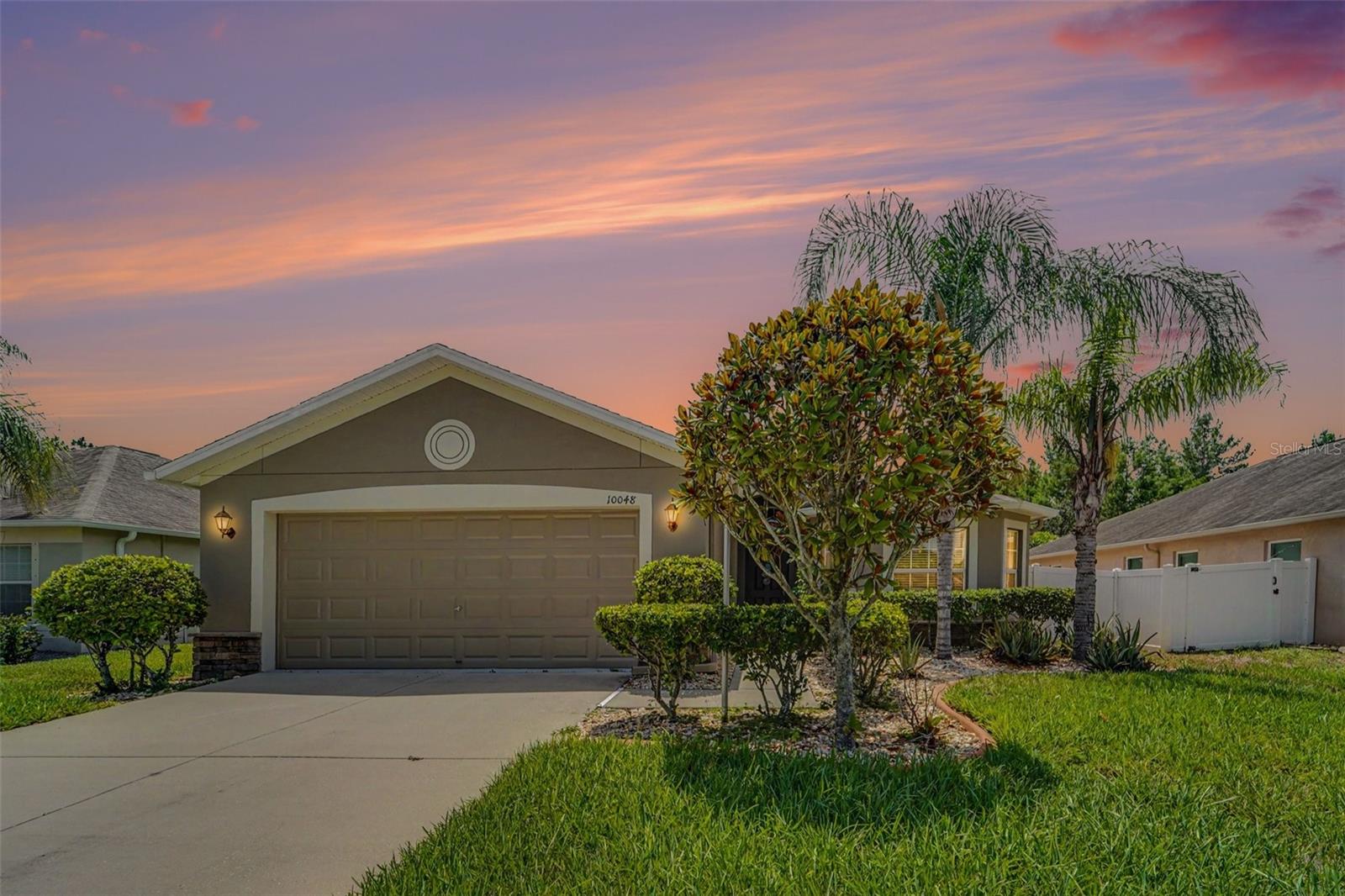10048 IVES LOOP - Photo 1