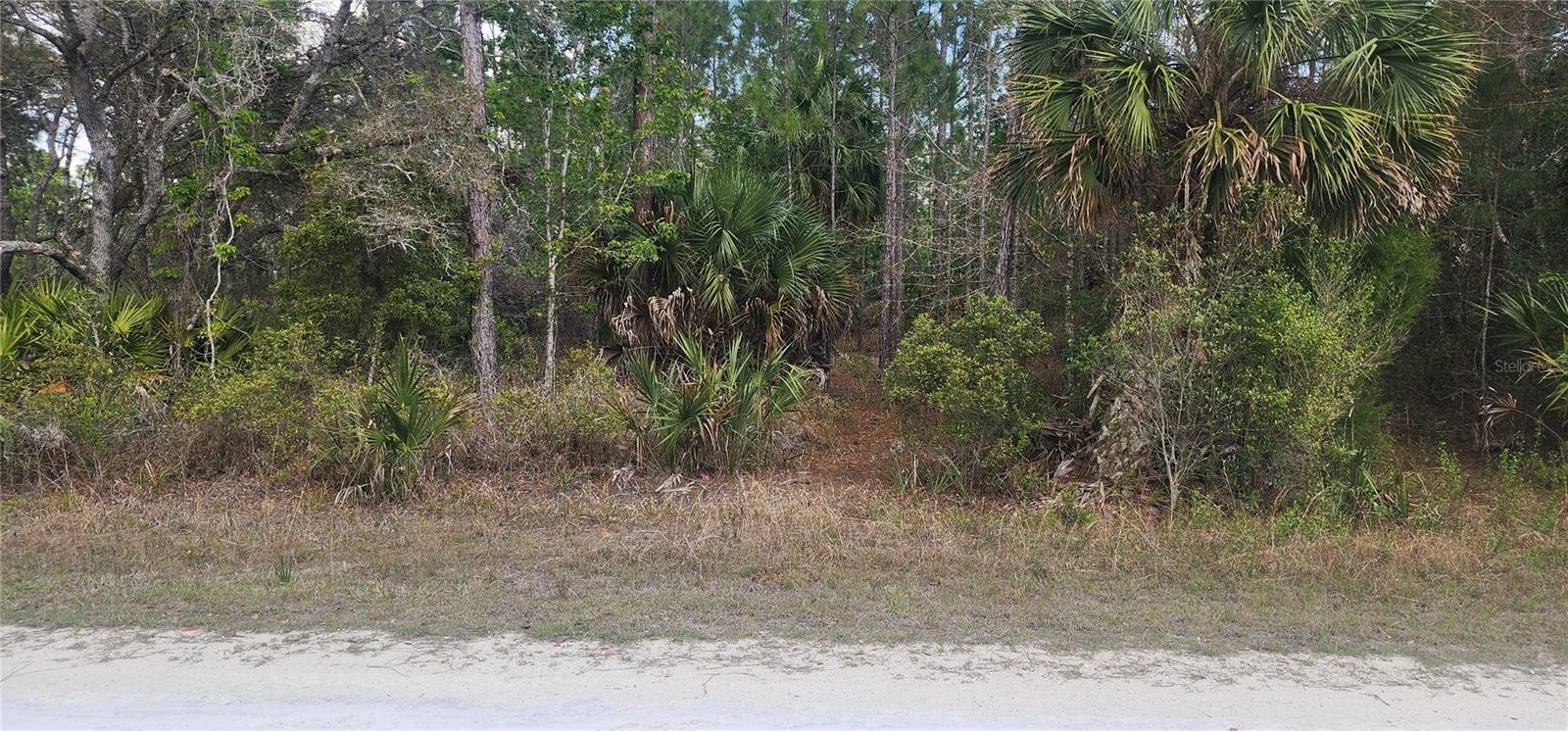 18164 RETRIEVER RD - Photo 1