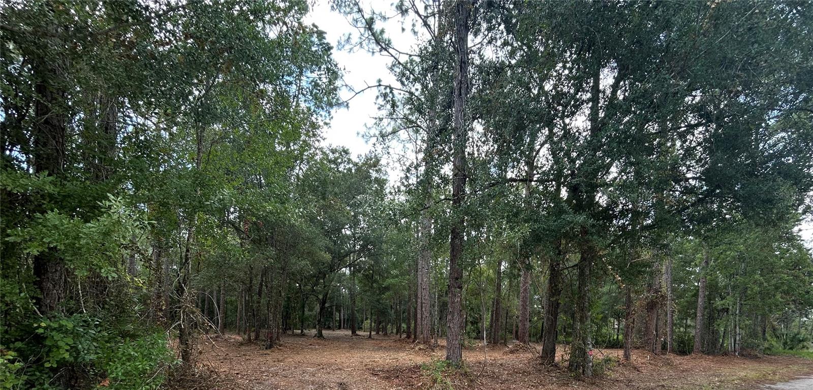 WESTPOINT DR - Photo 1