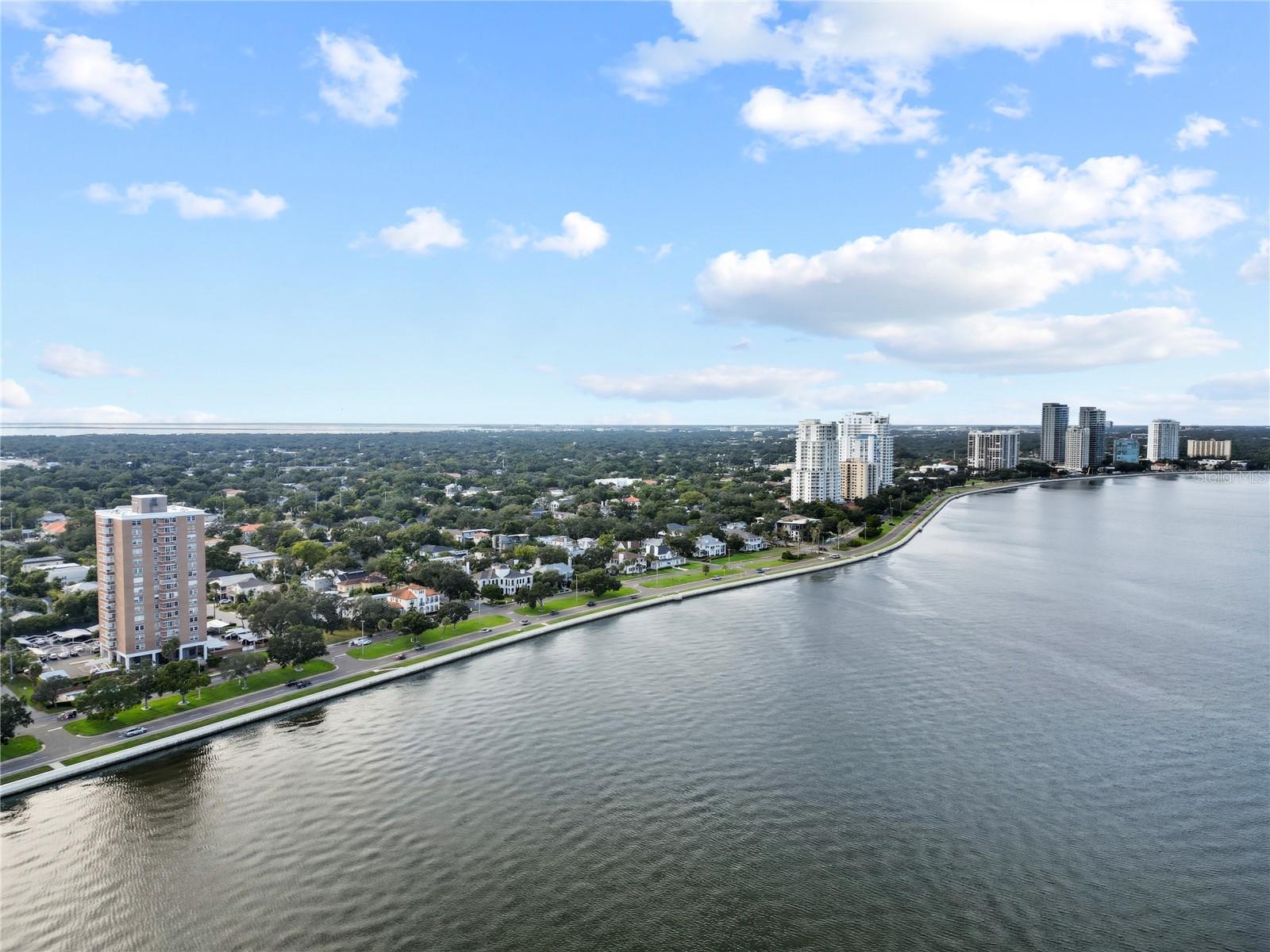 4015 BAYSHORE BLVD #7C - Photo 1