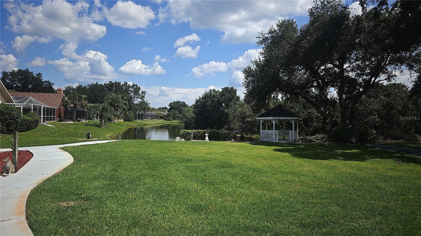34826 CHELMSFORD LN - Photo 1