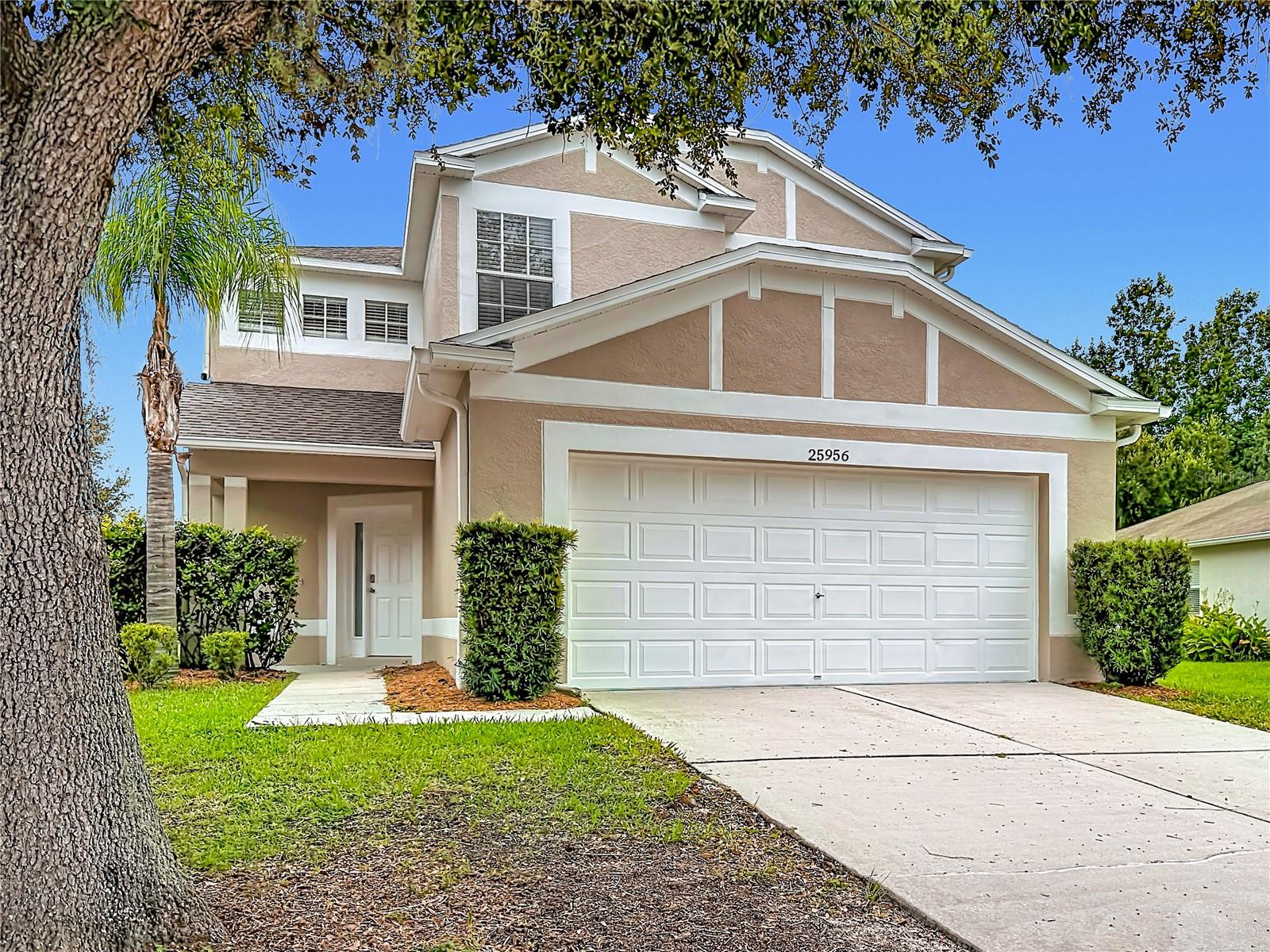 25956 TERRAWOOD LOOP - Photo 1