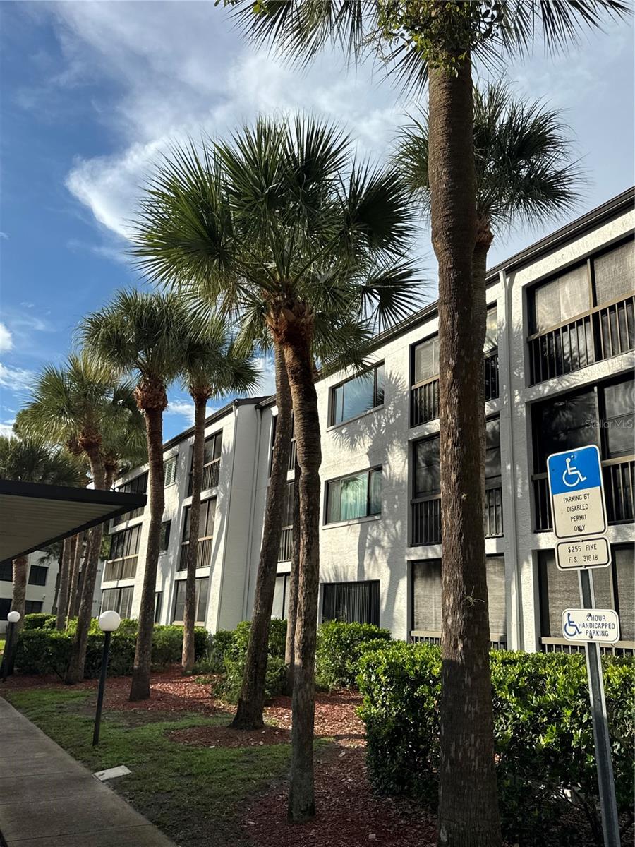 2593 COUNTRYSIDE BLVD #7211 - Photo 1