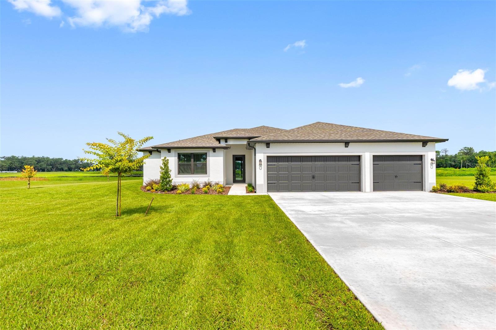 13483 LAKE GALLAGHER DR - Photo 1