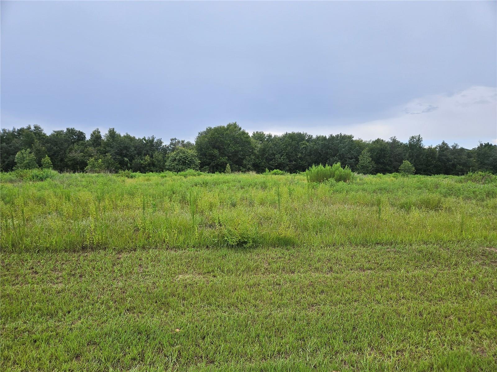 8881 VALERIE CT - Photo 1