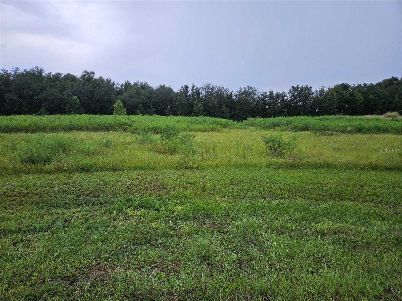8801 VALERIE CT - Photo 1