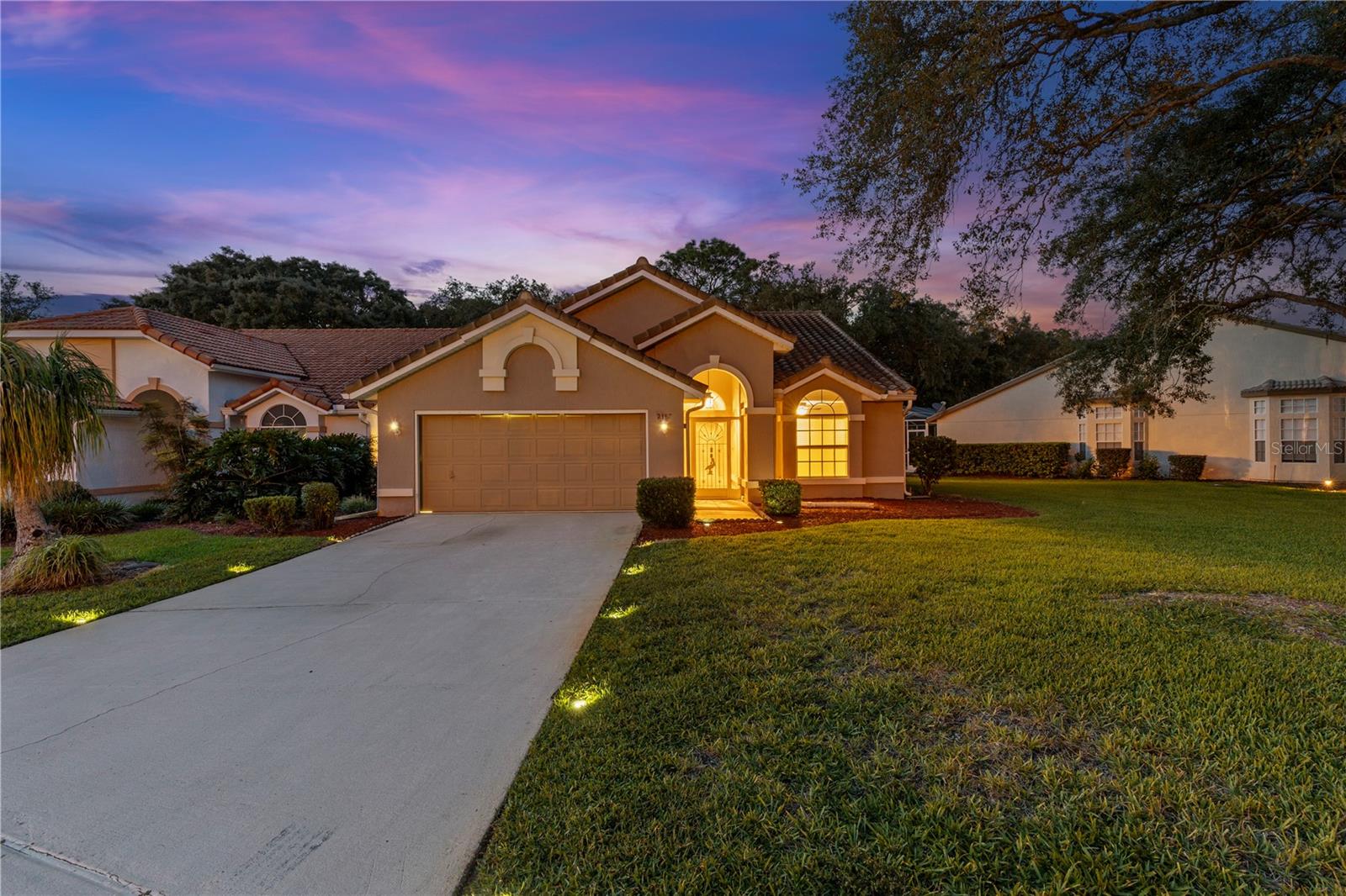 9387 FRENCH QUARTERS CIR - Photo 1