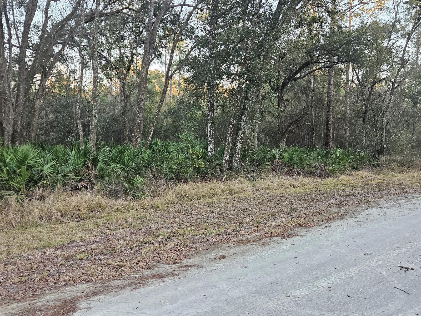 ROSEHILL DR - Photo 1
