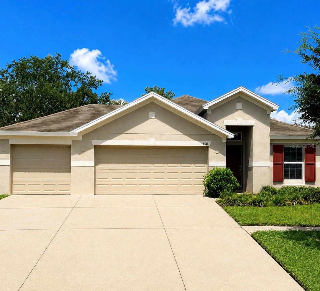 6447 SPARKLING WAY - Photo 1