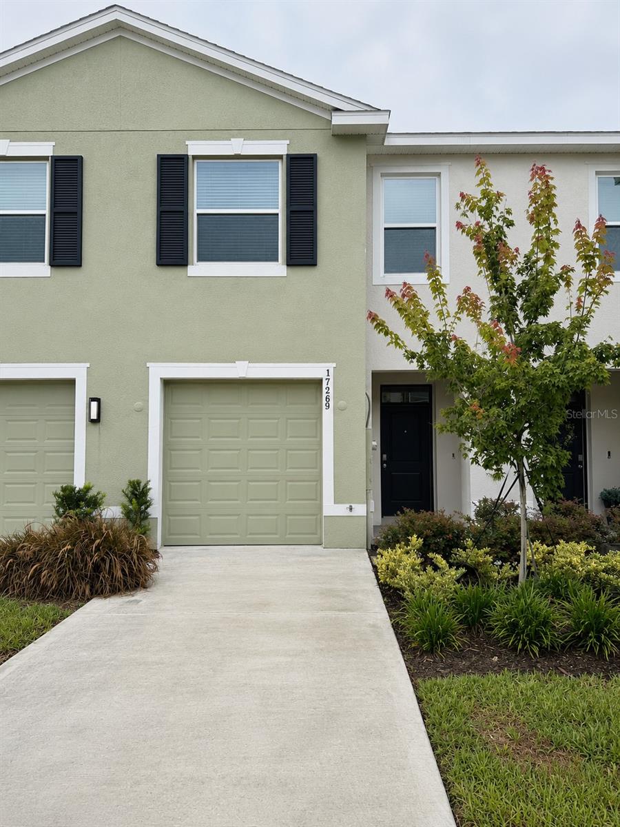 17269 BIGLEAF MAHOGANY LN - Photo 1