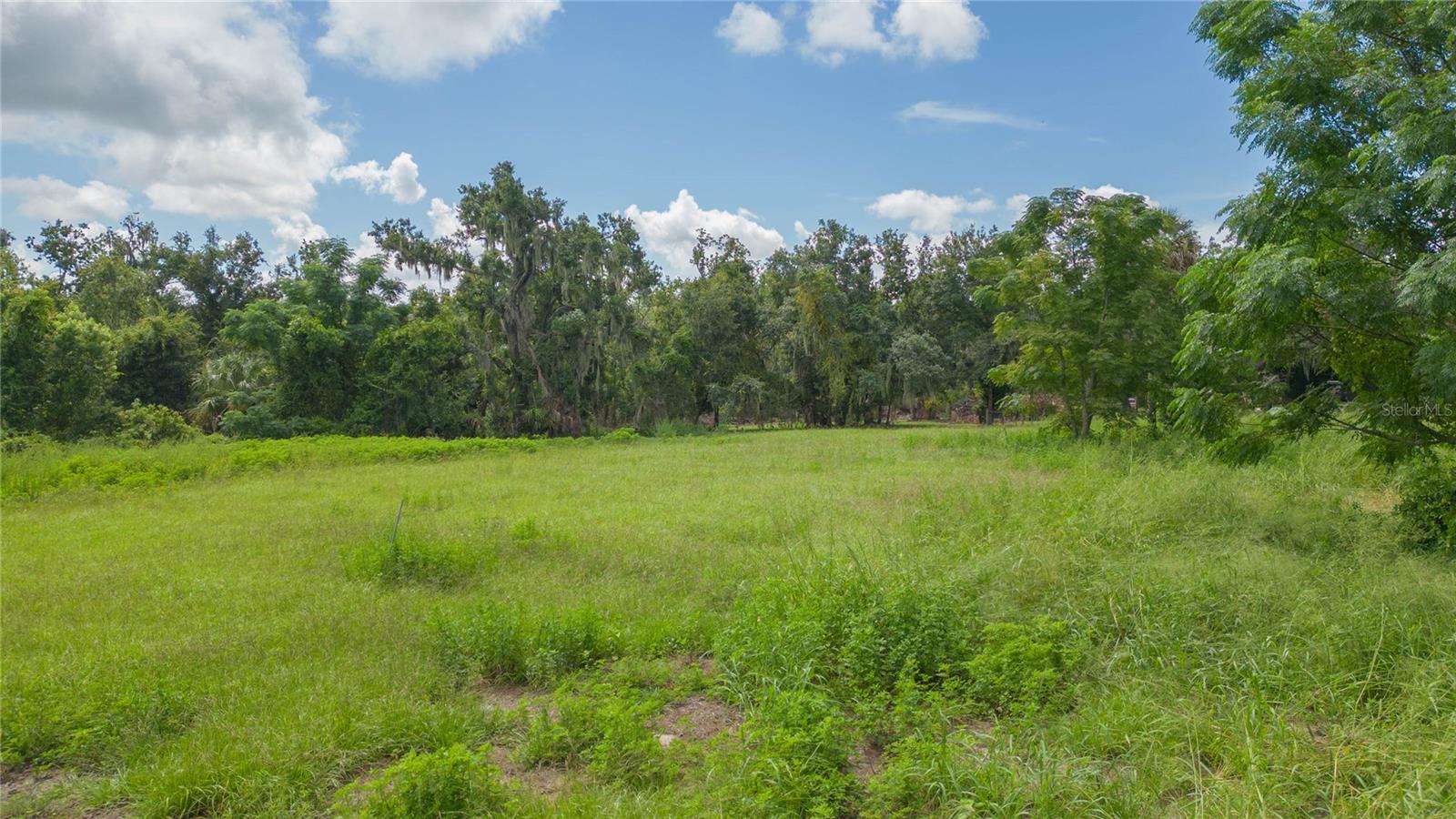 15810 COLDING LOOP - Photo 1