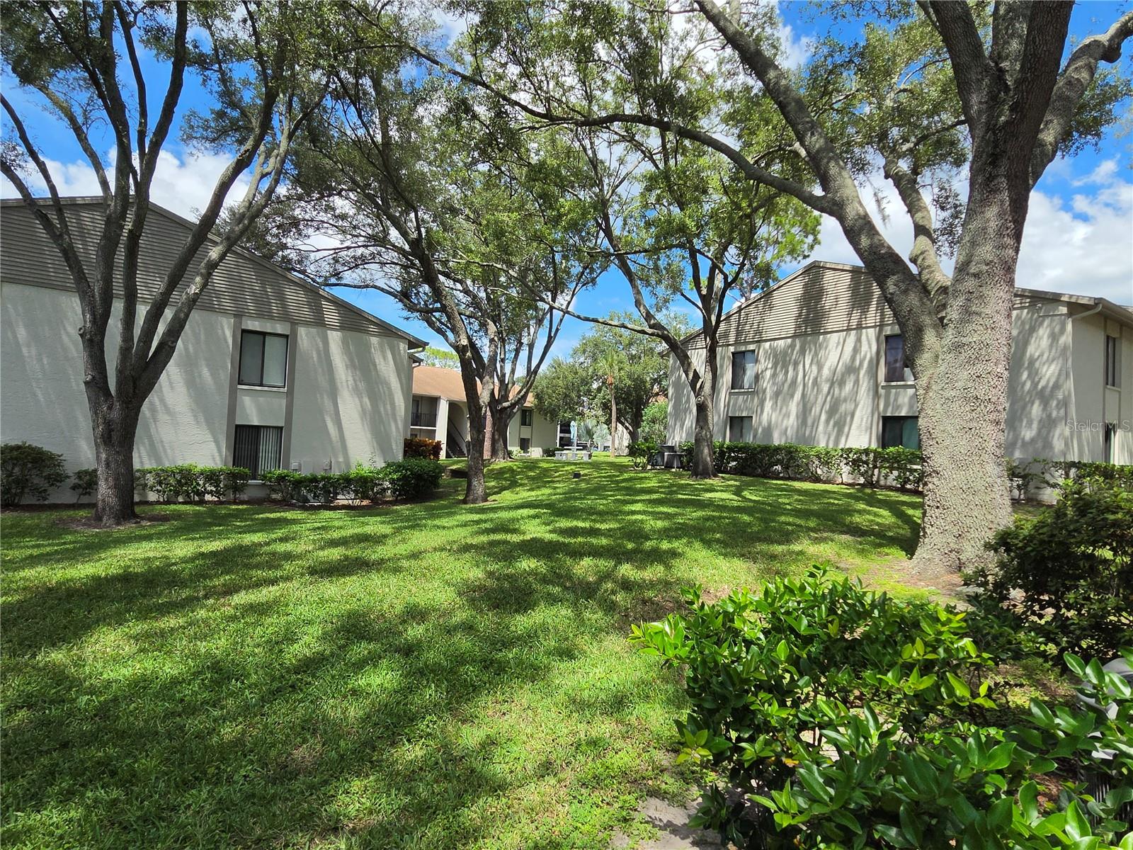 1700 PINE RIDGE WAY E #C1 - Photo 1