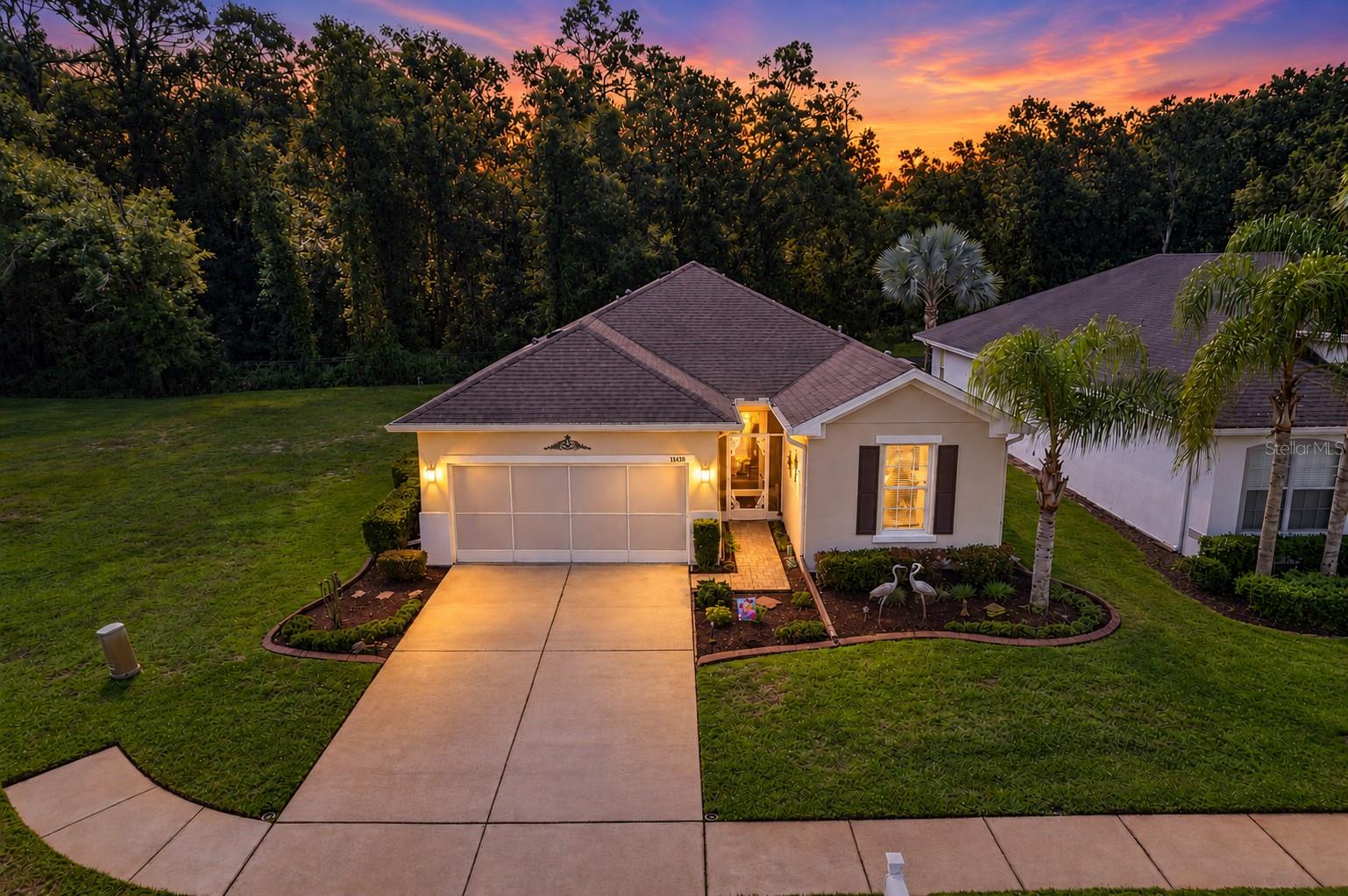 11438 MERGANSER WAY - Photo 1