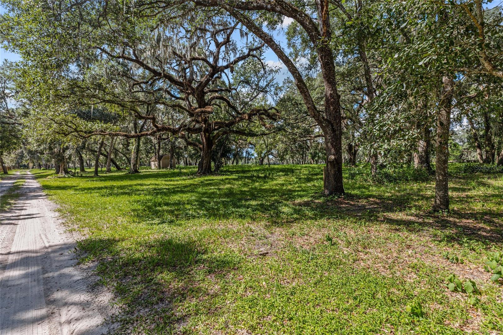 17445 PALMER LN - Photo 1