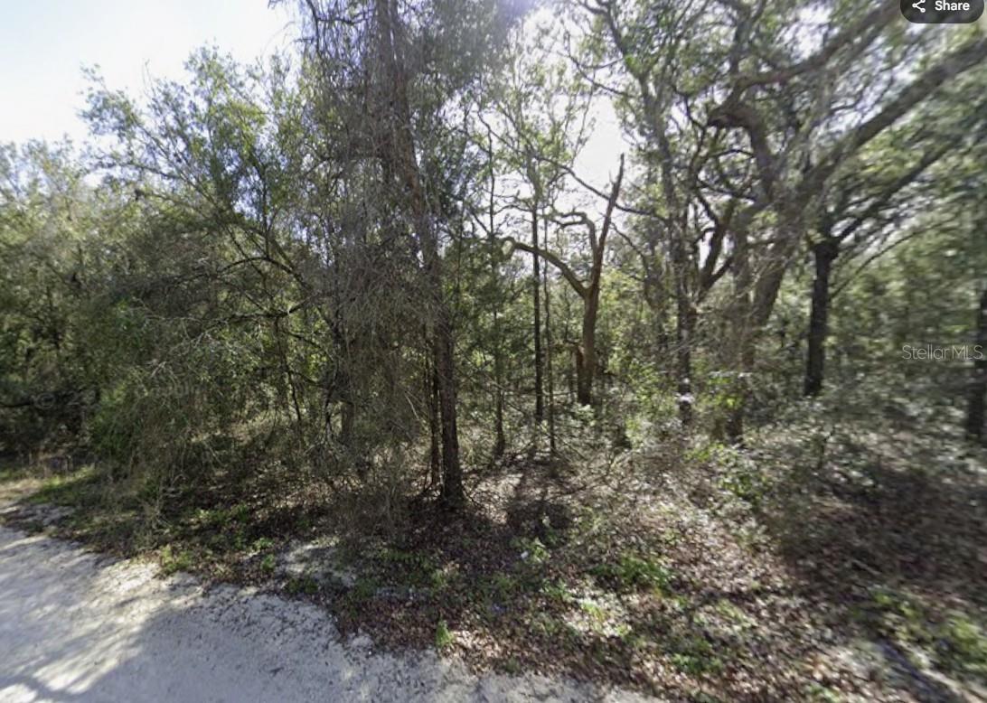 34086 ARROWROCK ST - Photo 1