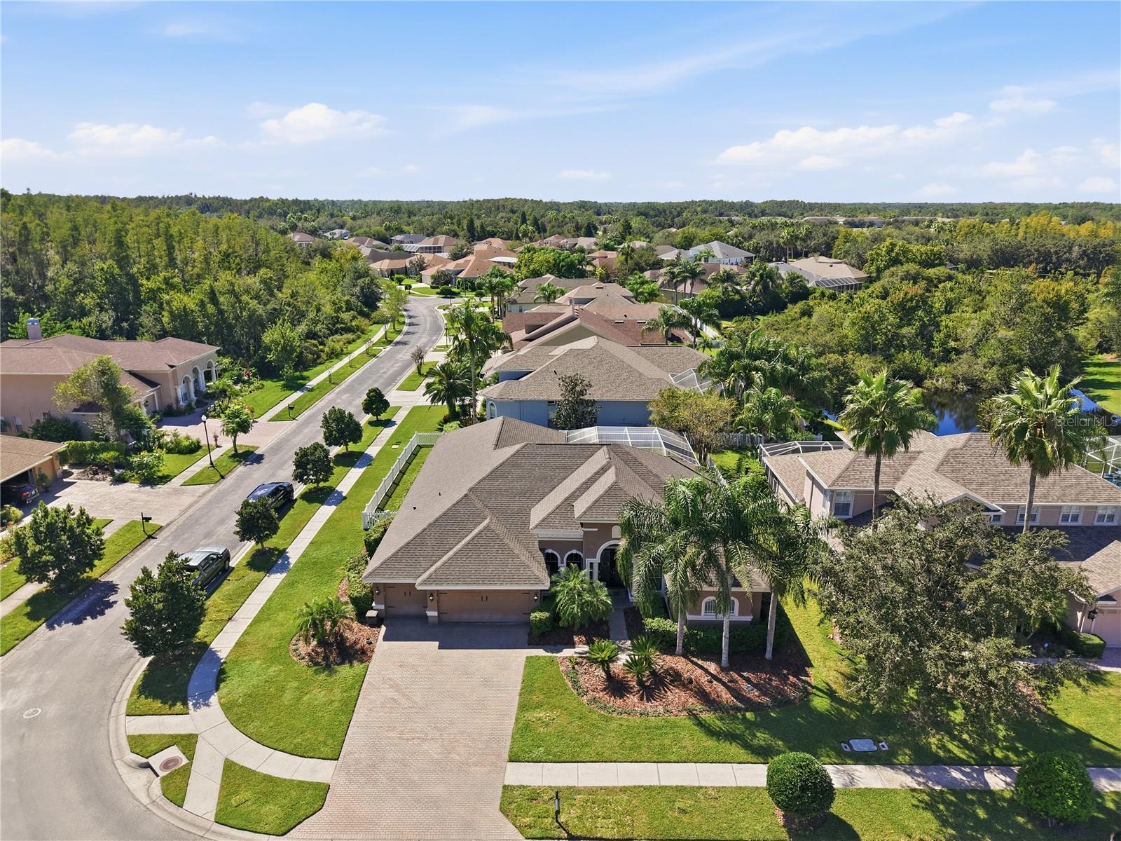 3905 SORREL VINE DR - Photo 1