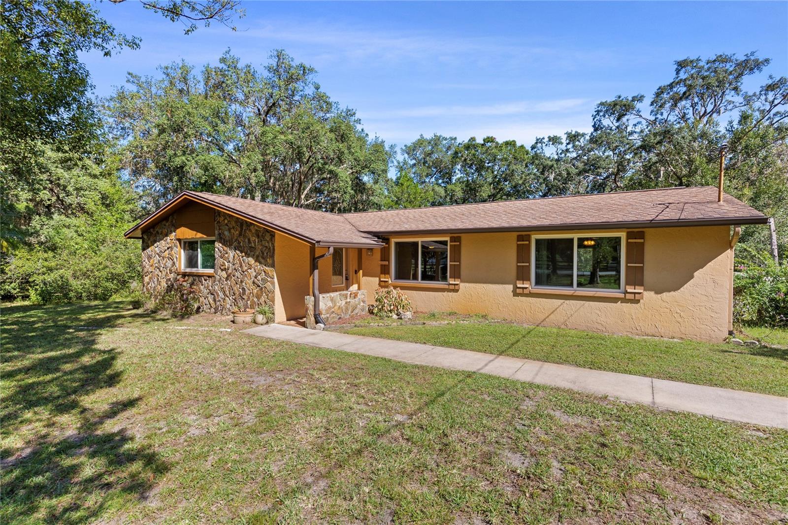 10179 FRIERSON LAKE DR - Photo 1