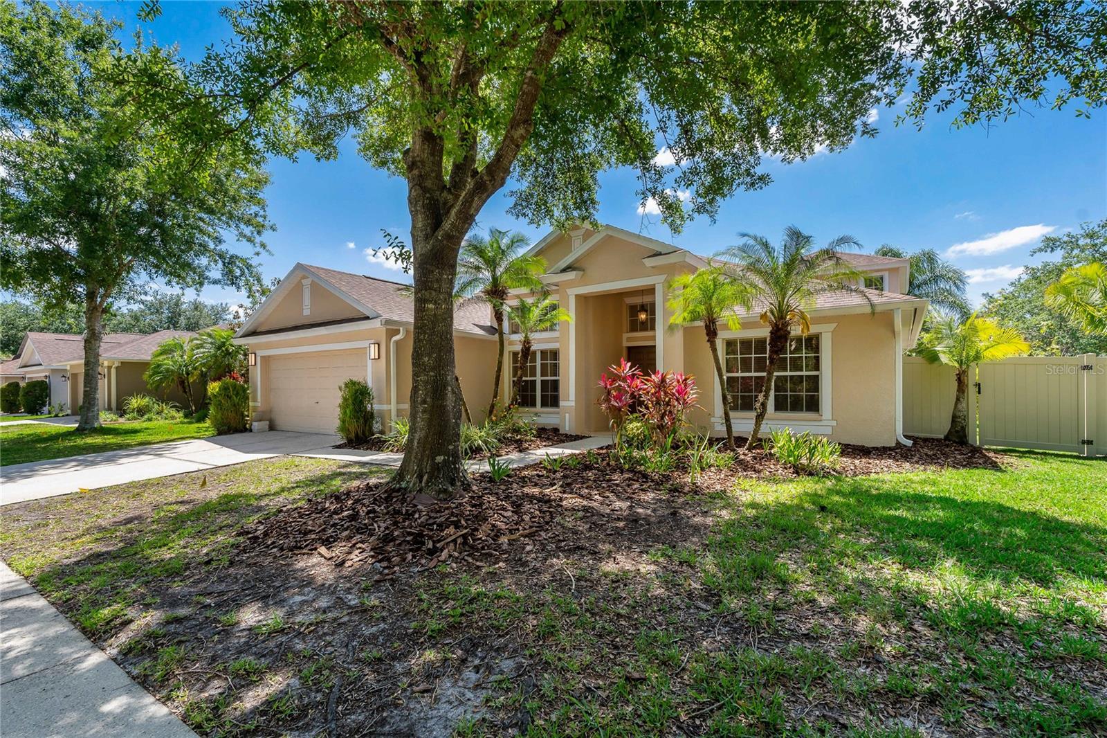 8211 CANYON CREEK WAY - Photo 1