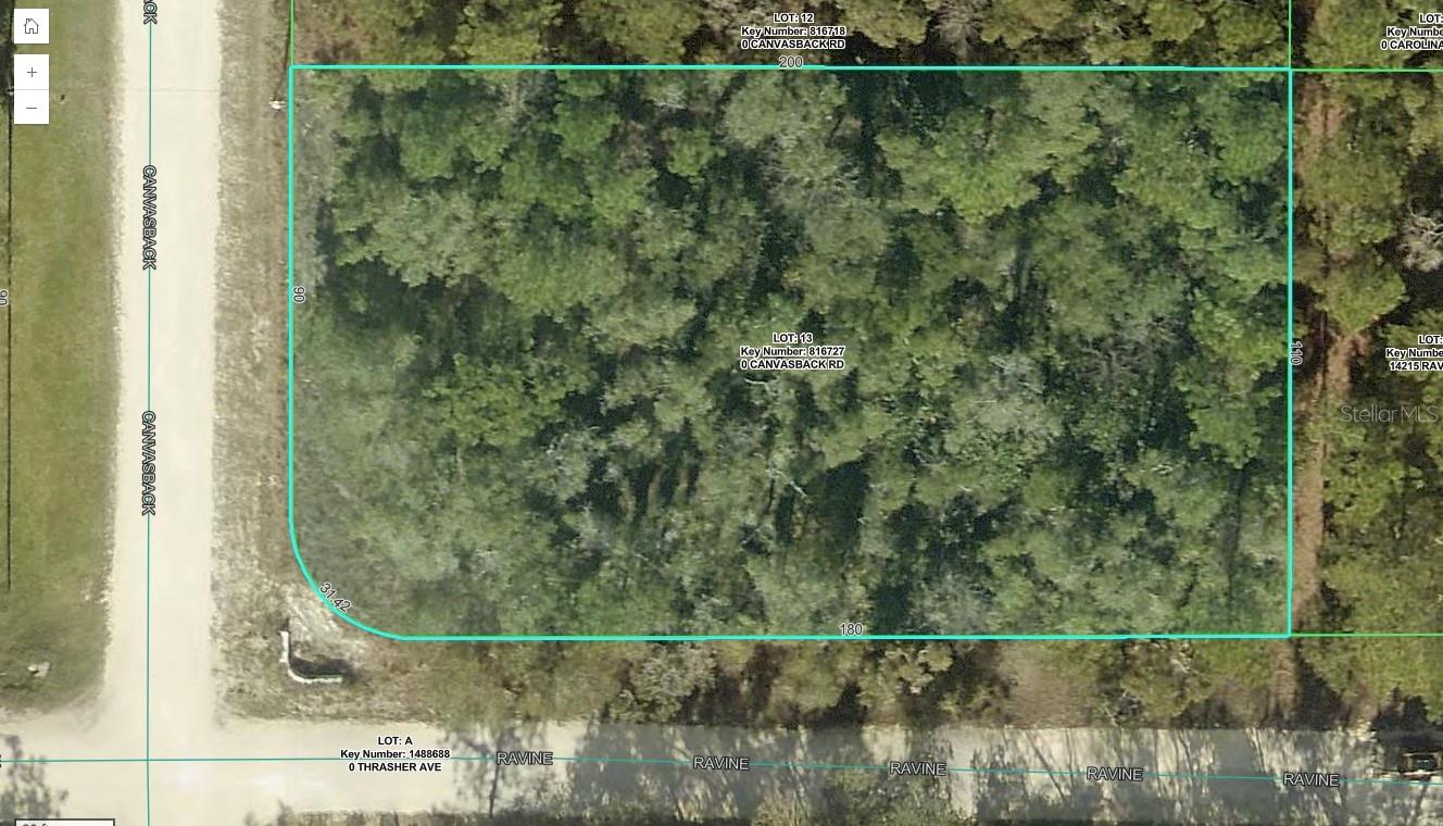 15026 CANVASBACK RD - Photo 1