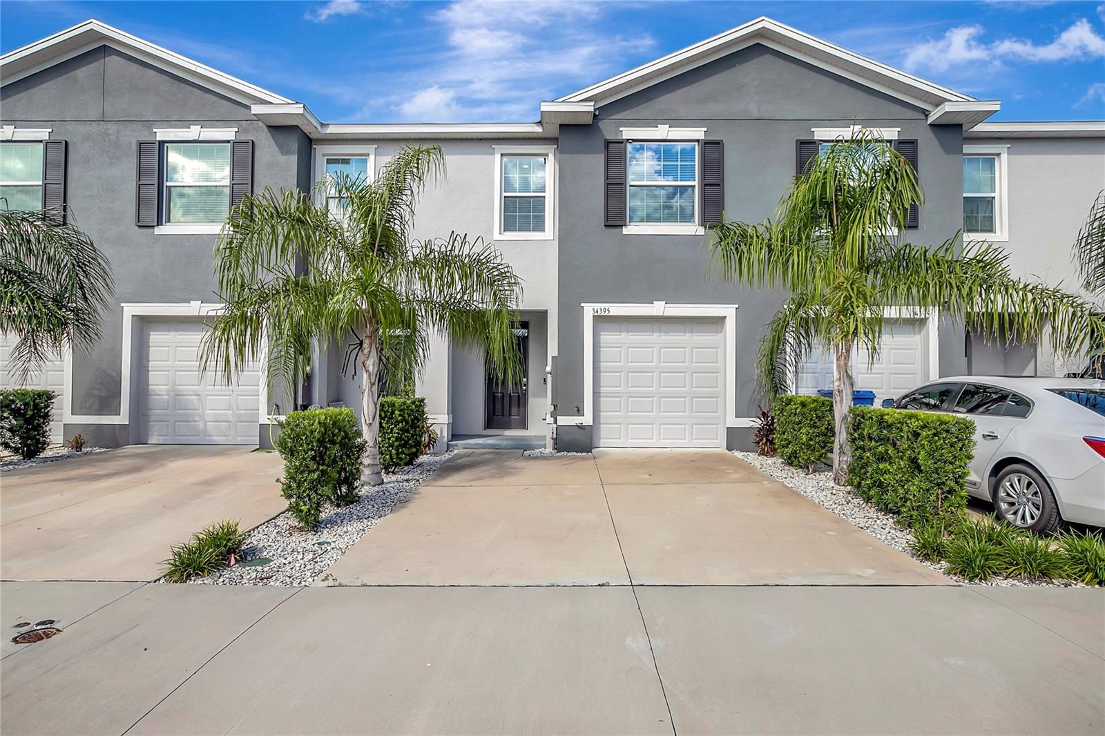 34395 SORREL MINT DR - Photo 1