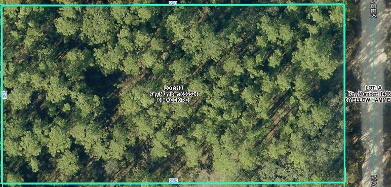 18379 MACEK RD - Photo 1