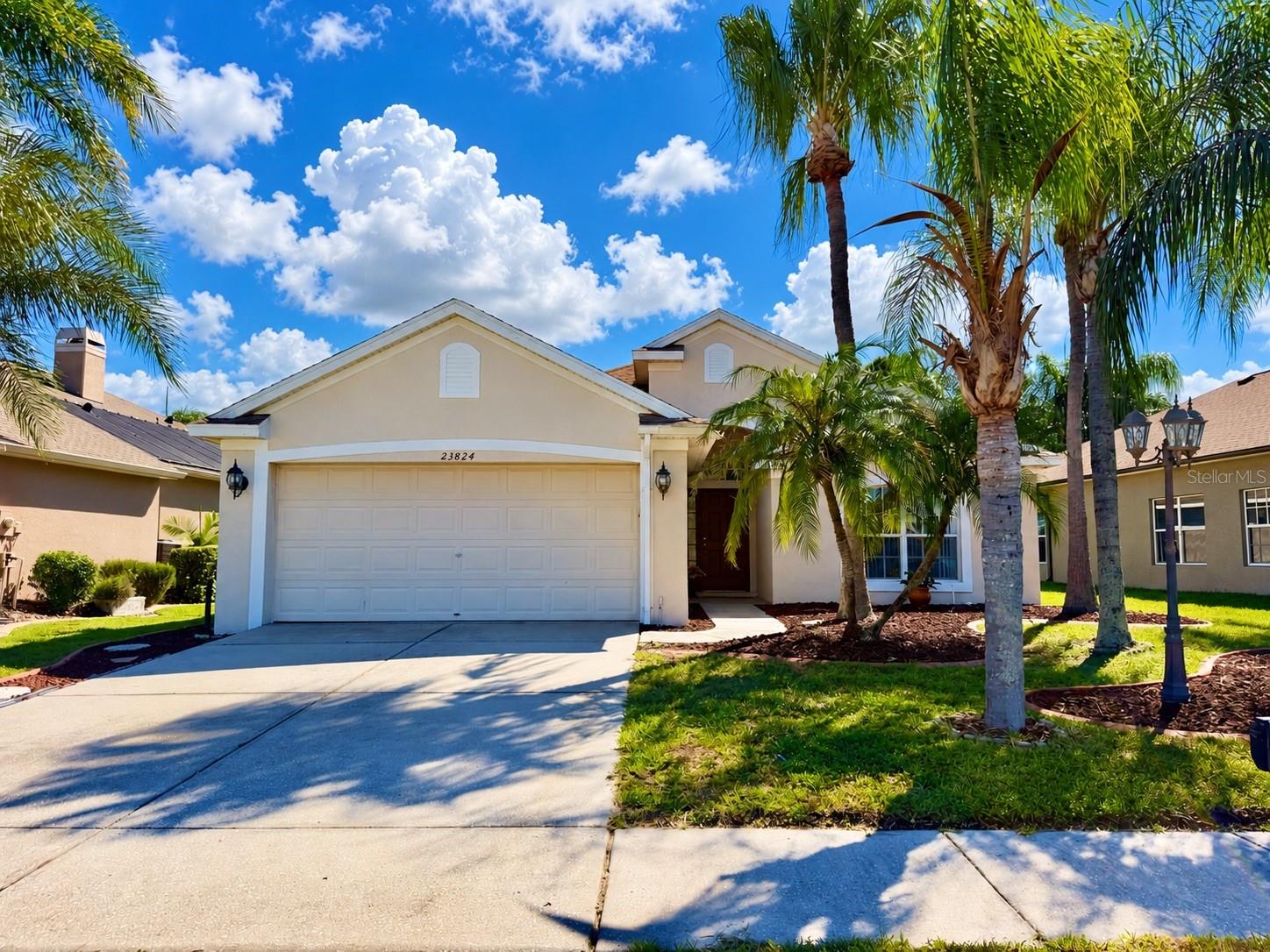 23824 PLANTATION PALMS BLVD - Photo 1
