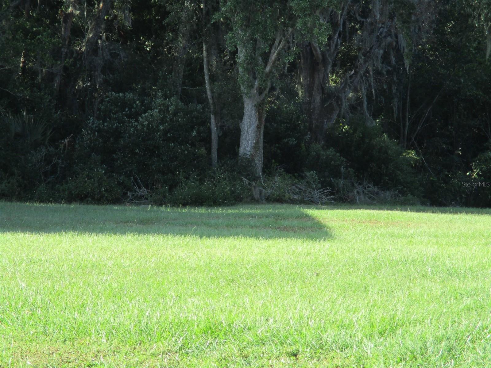 LOT 2 MONET DR - Photo 1