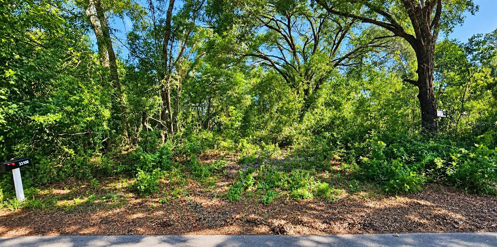 LOT 13 PATRICE RD - Photo 1