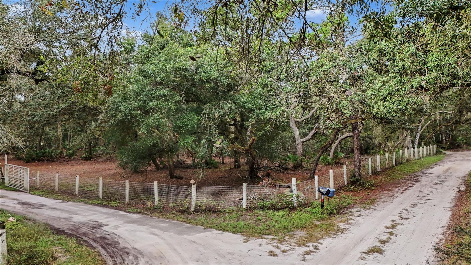34192 OAK HAMMOCK DR - Photo 1
