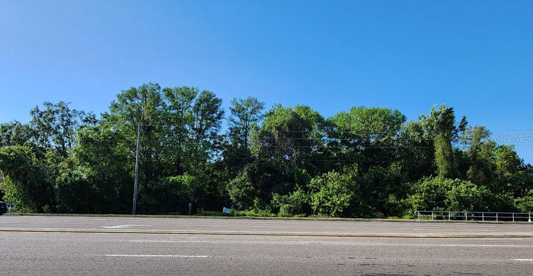 SR 54 - Photo 1