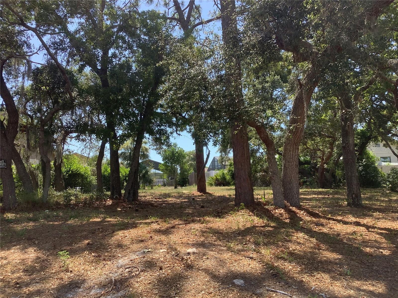 18657 WHITE PINE CIR - Photo 1
