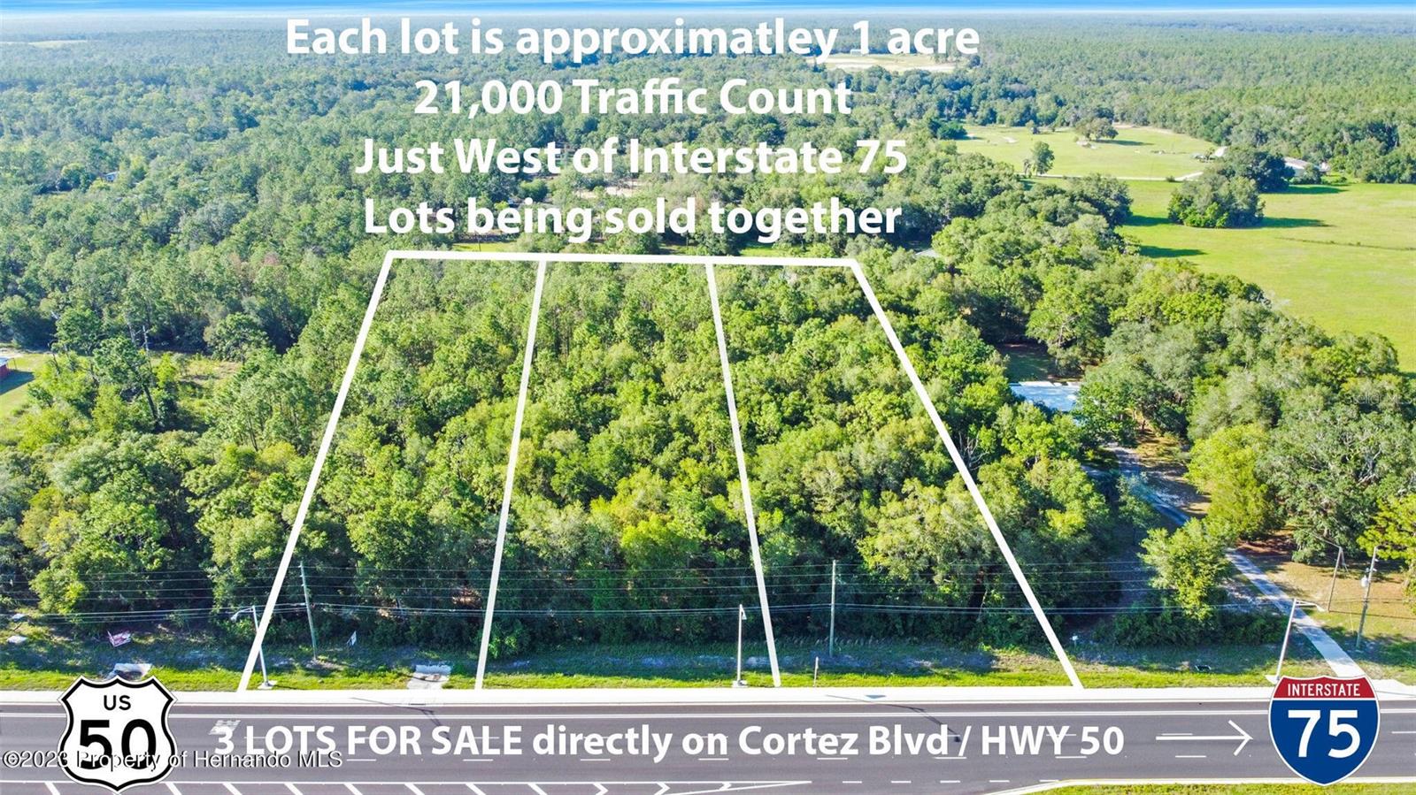 CORTEZ BLVD - Photo 1